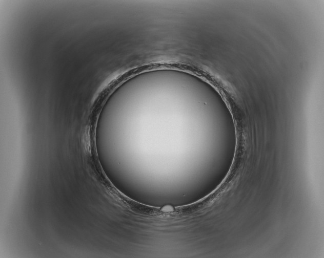 X0000116651262200912141248