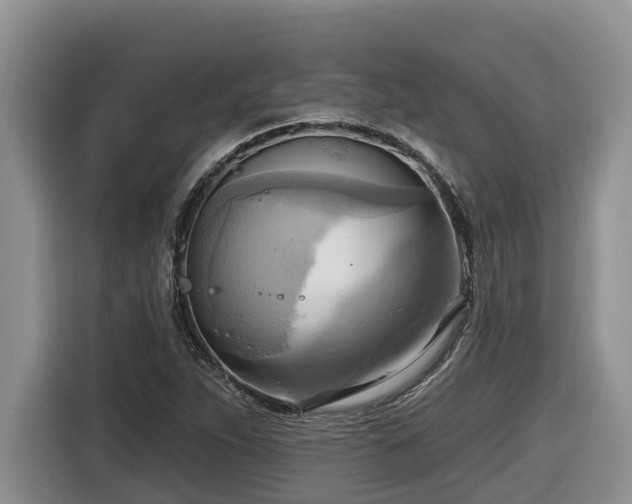 X0000116651263200912141248