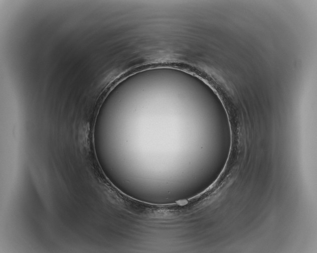 X0000116651265200912141248