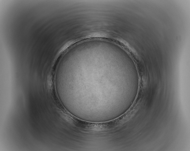X0000116651266200912141248