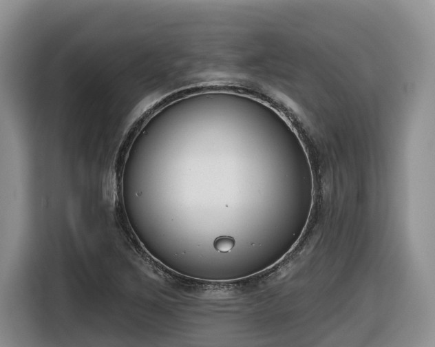 X0000116651267200912141248