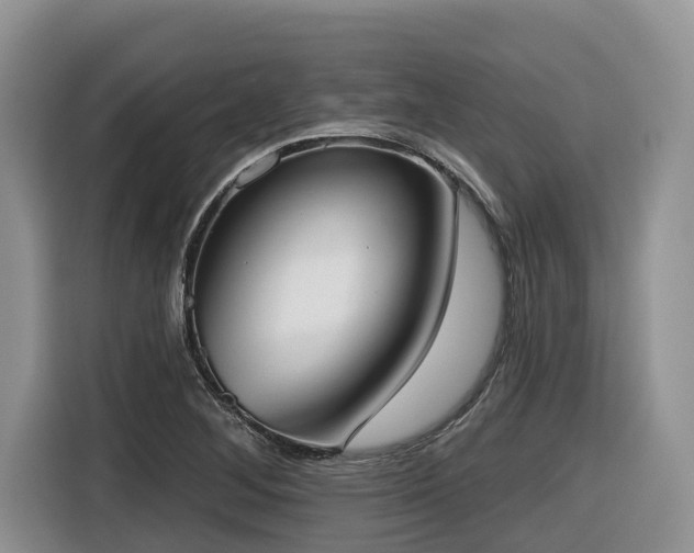 X0000116651268200912141248