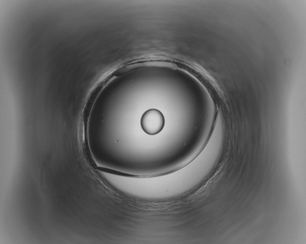 X0000116651269200912141248