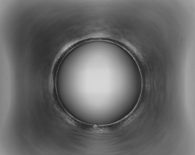 X0000116651270200912141248