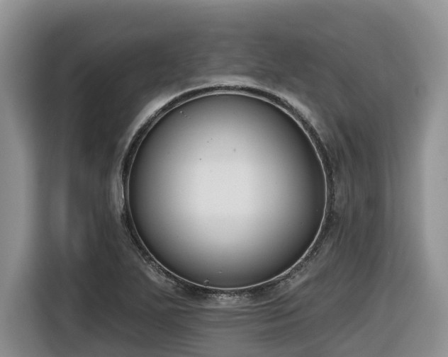 X0000116651271200912141248