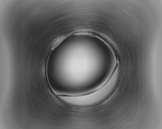 X0000116651273200912141248