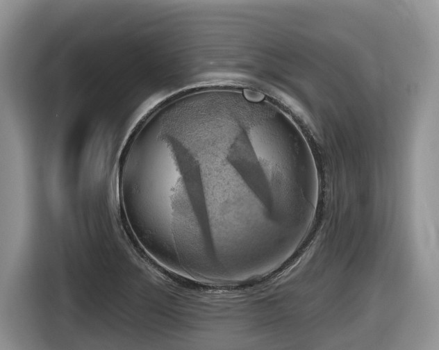 X0000116651275200912141248