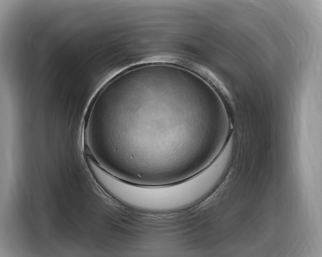 X0000116651276200912141248