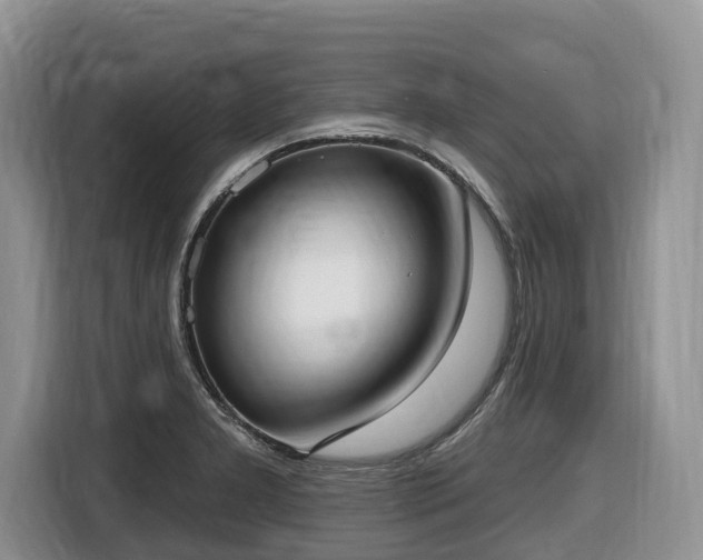 X0000116651277200912141248