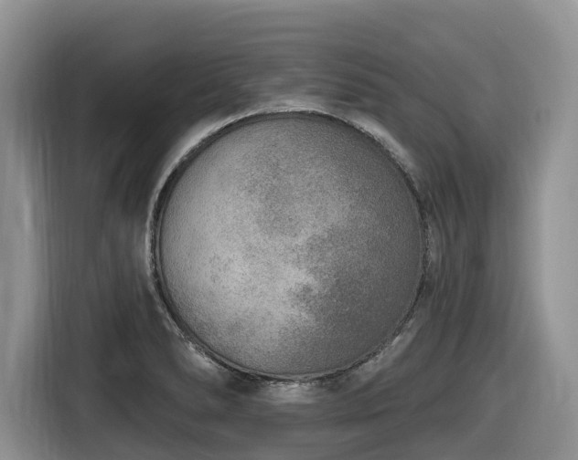 X0000116651278200912141248