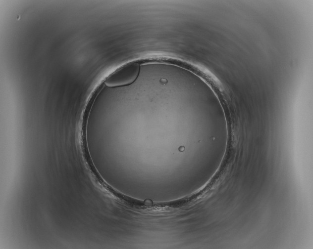 X0000116651279200912141248