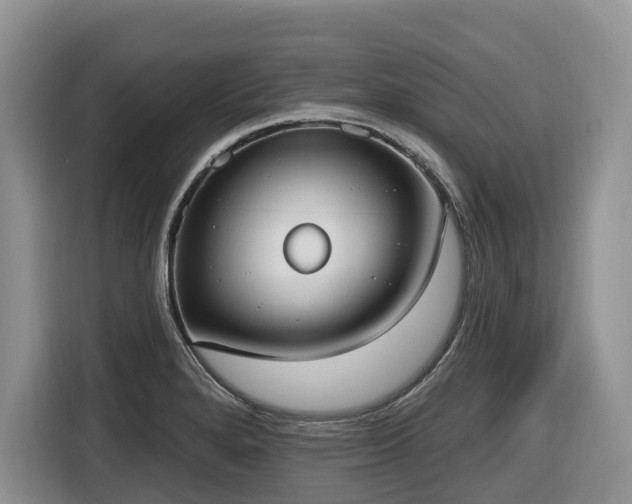 X0000116651280200912141248