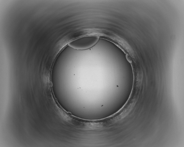 X0000116651281200912141248