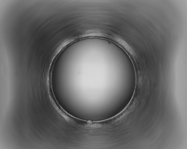 X0000116651282200912141248