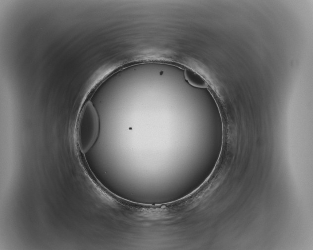 X0000116651285200912141248