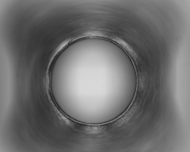 X0000116651286200912141248