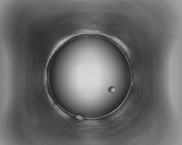 X0000116651287200912141248