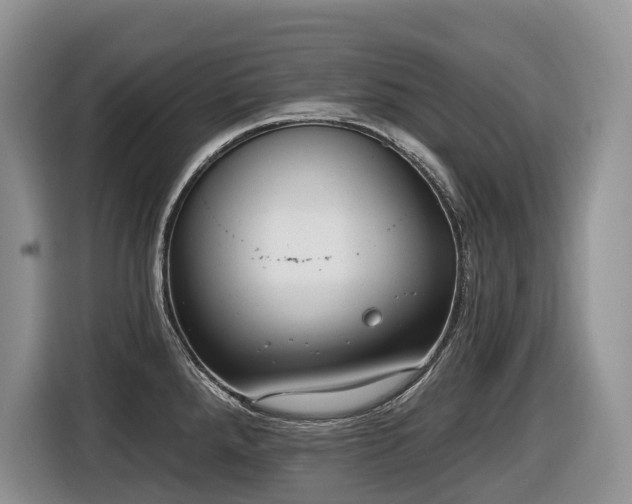 X0000116651288200912141248