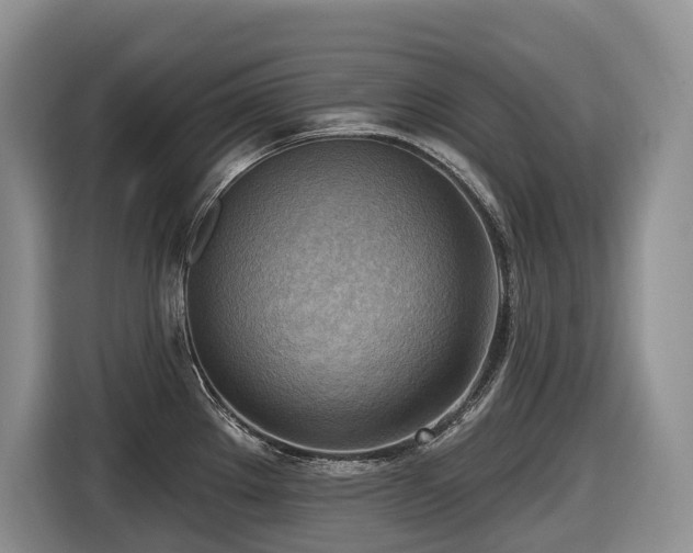 X0000116651289200912141248