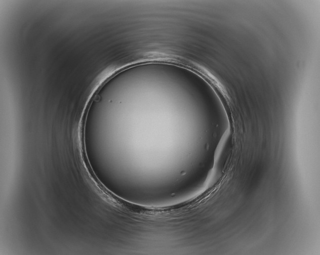 X0000116651291200912141248