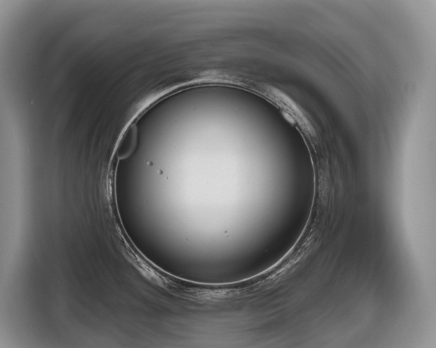 X0000116651292200912141248