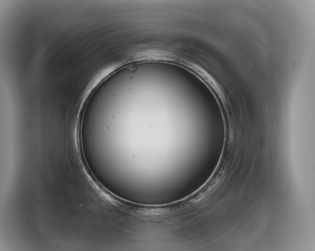 X0000116651293200912141248