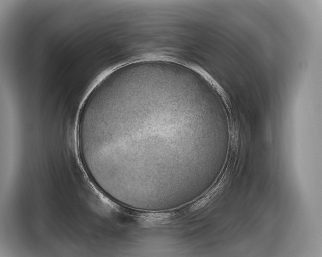 X0000116651294200912141248