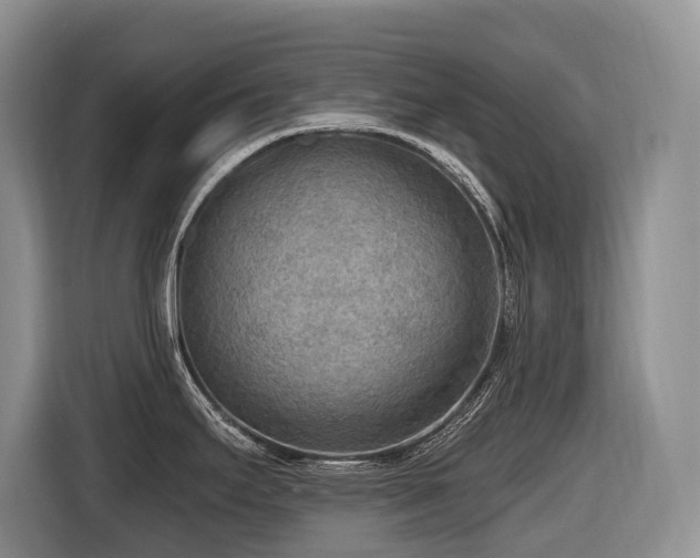 X0000116651295200912141248
