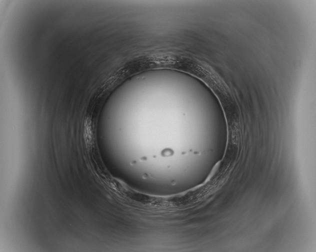 X0000116651298200912141247