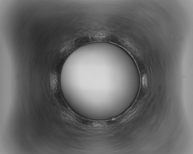 X0000116651299200912141247