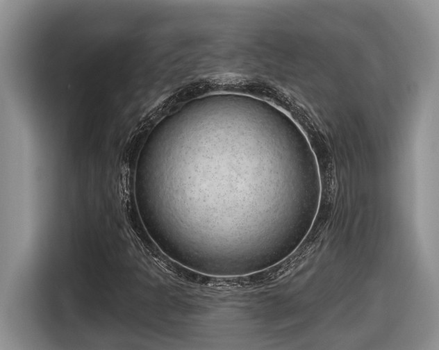 X0000116651301200912141247