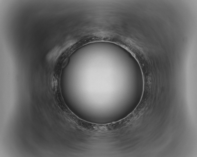 X0000116651302200912141247
