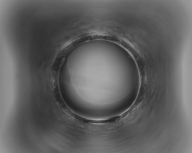 X0000116651303200912141247