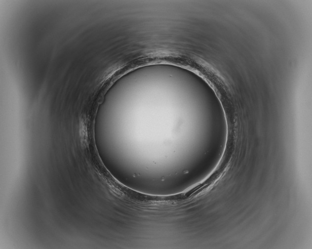 X0000116651305200912141247