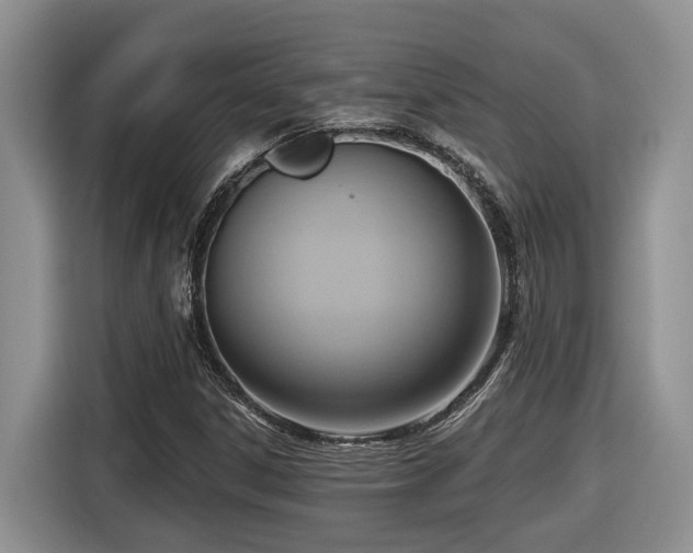 X0000116651306200912141247