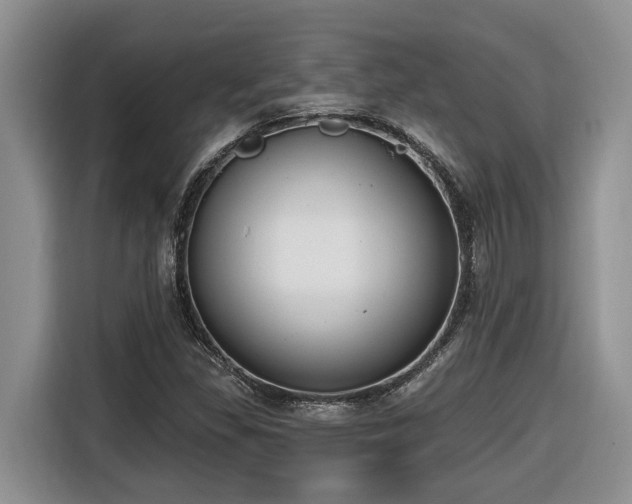 X0000116651309200912141247