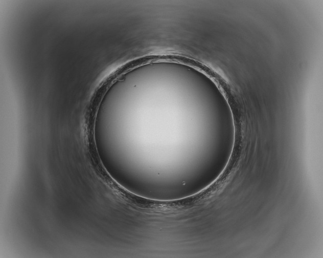 X0000116651311200912141247