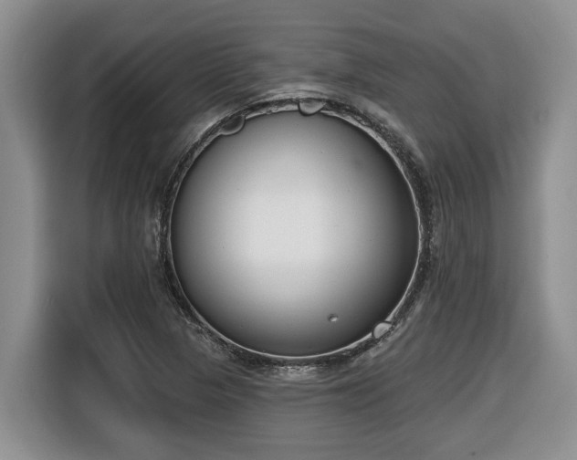 X0000116651313200912141247