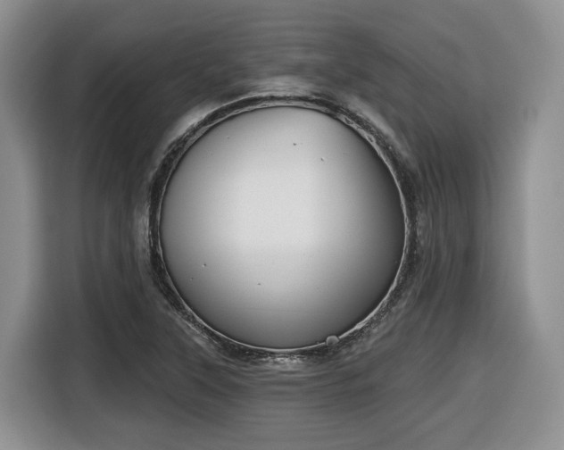X0000116651315200912141247