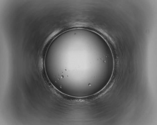 X0000116651317200912141247
