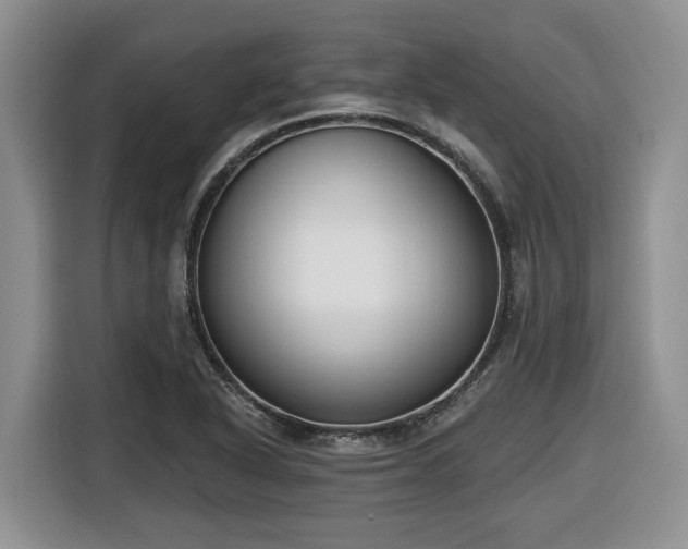 X0000116651318200912141247