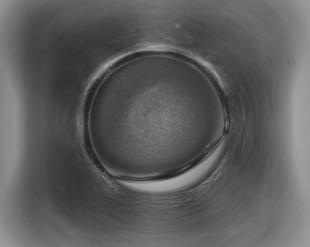 X0000116651319200912141247