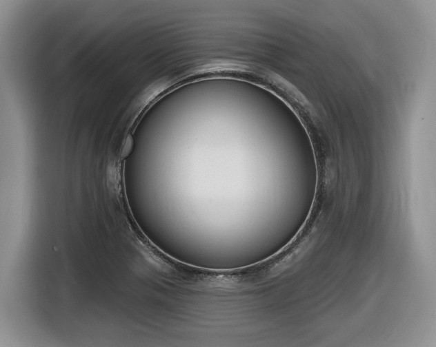 X0000116651321200912141247