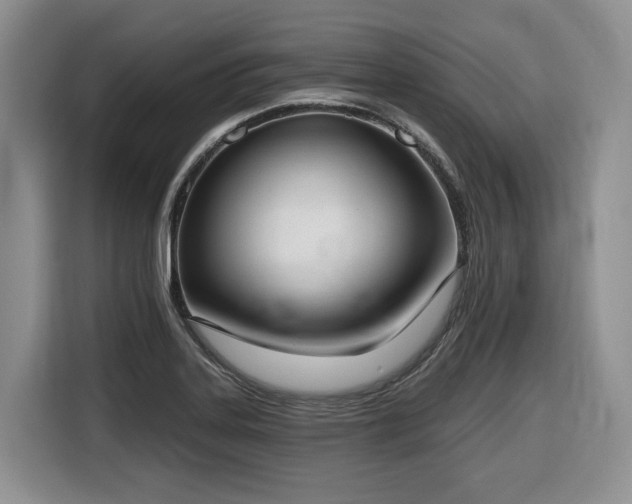 X0000116651323200912141247