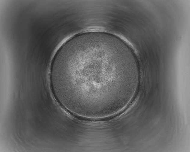 X0000116651325200912141247