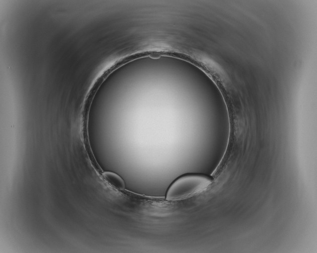 X0000116651326200912141247