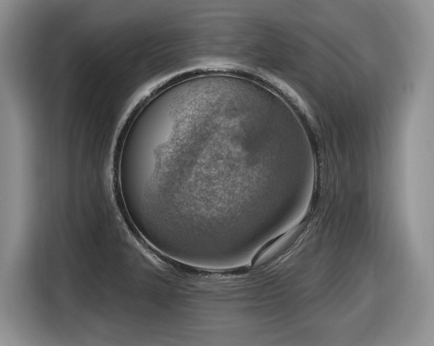 X0000116651327200912141247