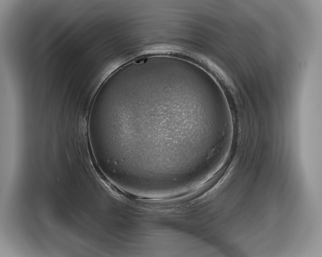 X0000116651329200912141248