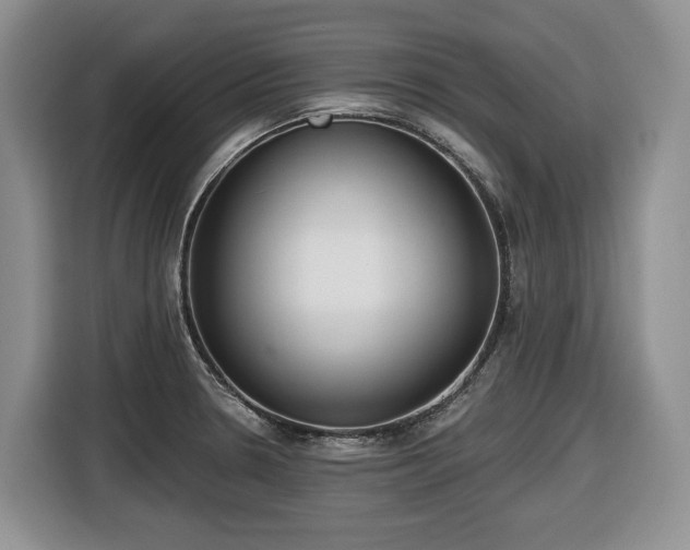 X0000116651330200912141248