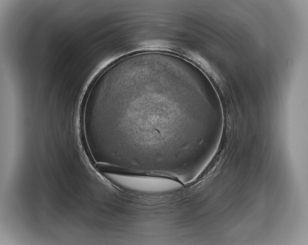 X0000116651331200912141248